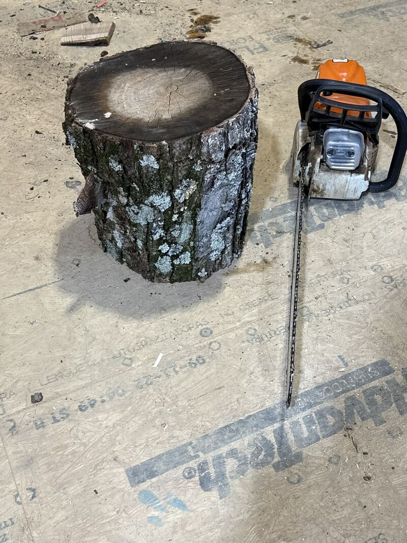Raw wood log ready for turning